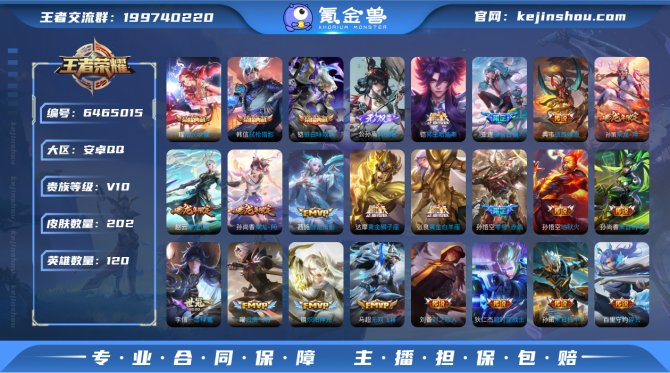 TT v10 202皮肤3典藏1无双29传...