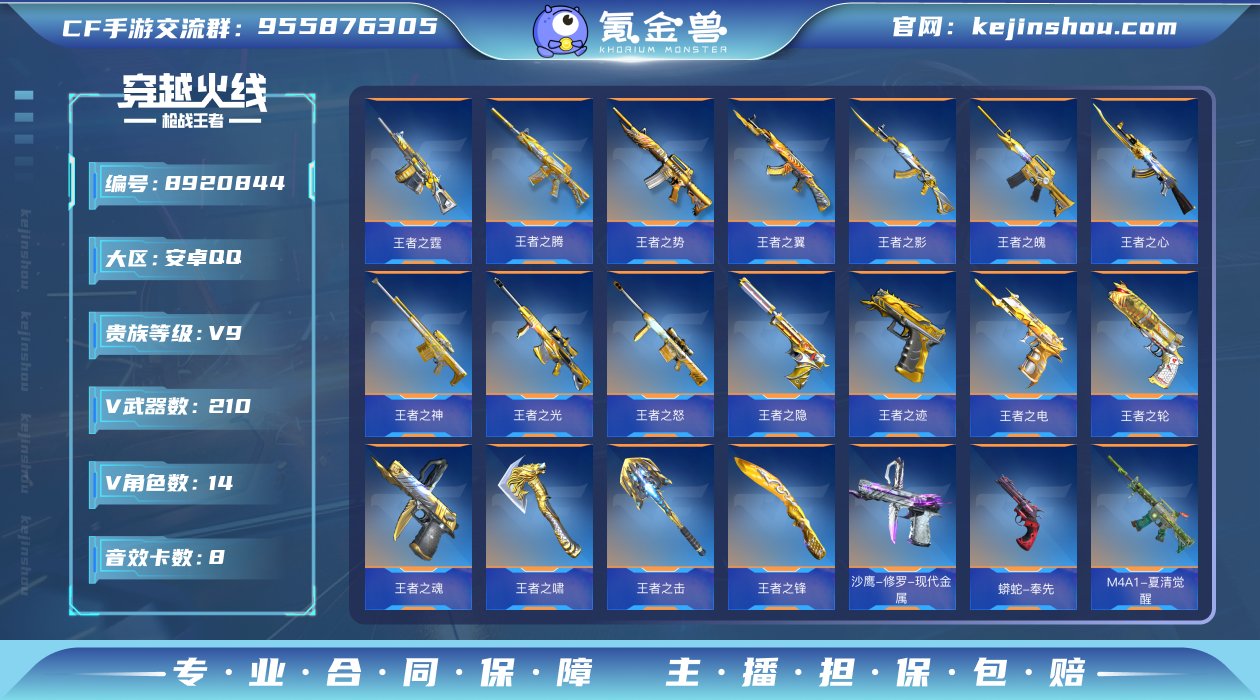 实名: 可修改 v武器数: 210 王者武...