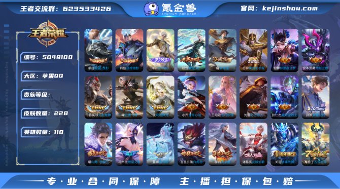 小玥 iOS【V9 228皮肤2典藏1无双...