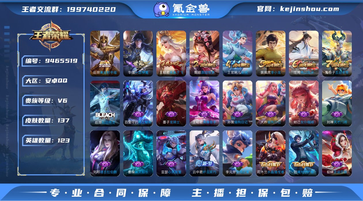 贵族V6 传说皮肤2 史诗皮肤34 皮肤数...