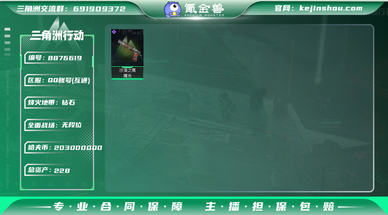 总资产：228.4M, 哈夫币：203M ...