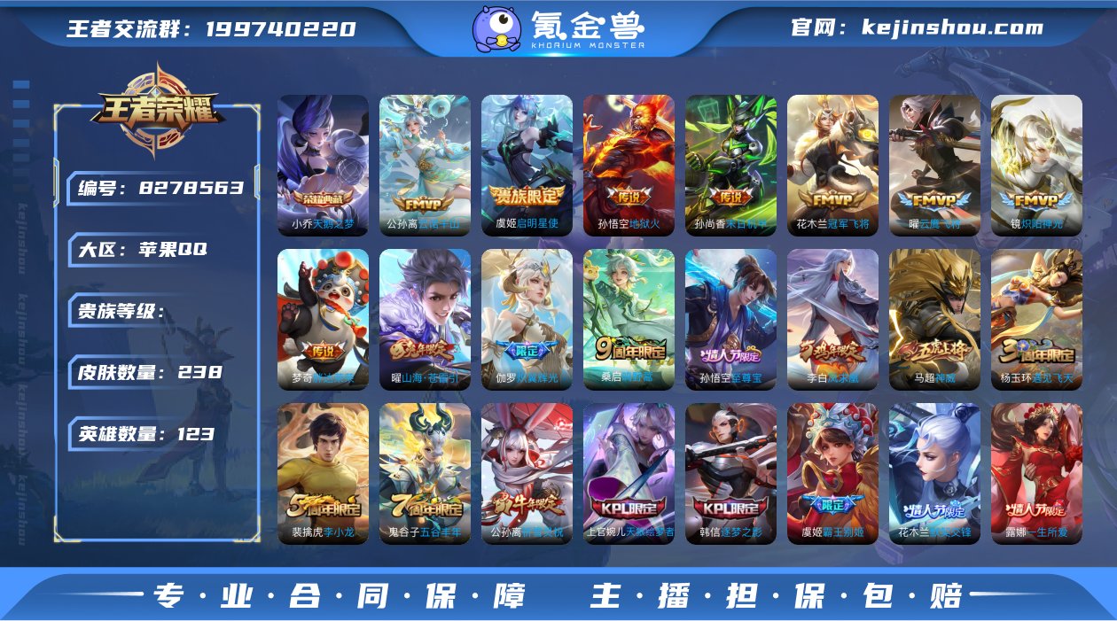 QS205【1典藏13传说】V8-238皮...