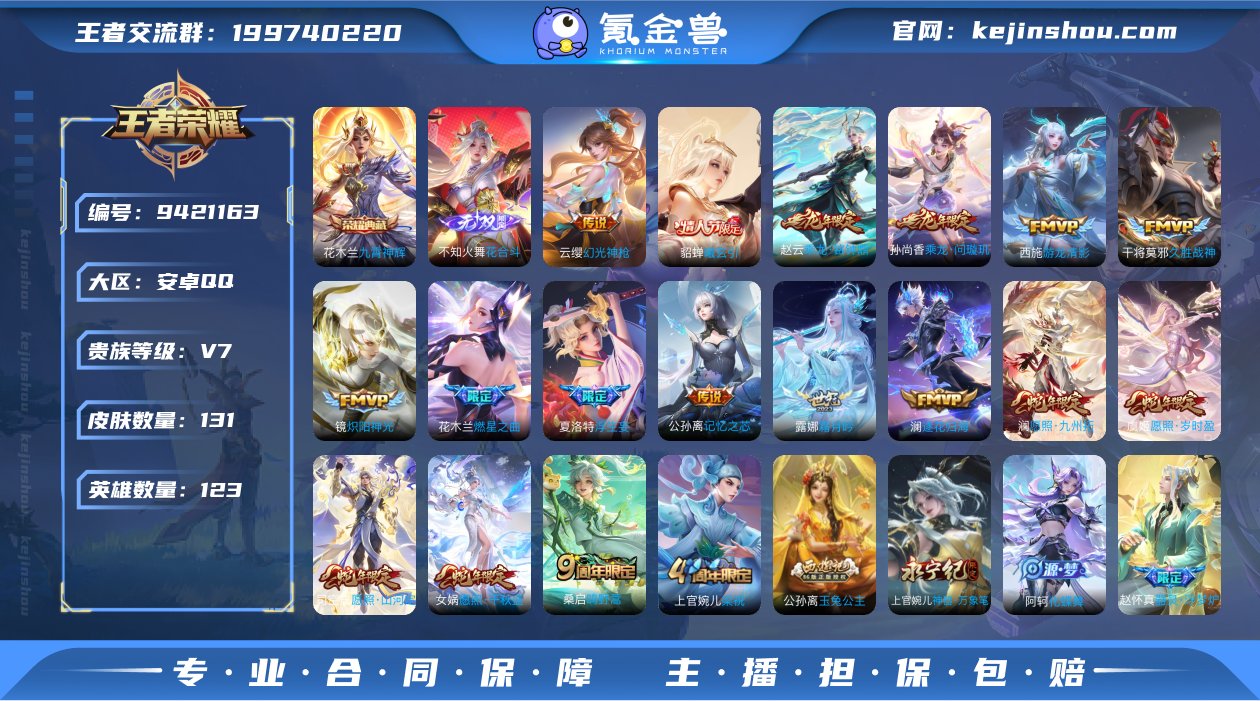 贵族V7 荣耀典藏1 无双1 传说皮肤17...