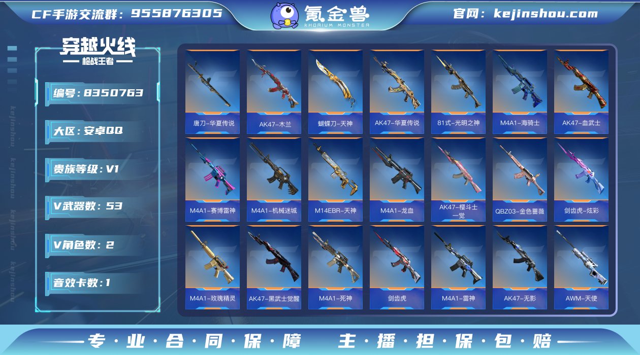 实名: 可修改 v武器数: 53 V/王者...