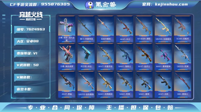 实名: 可修改 v武器数: 50 v武器:...