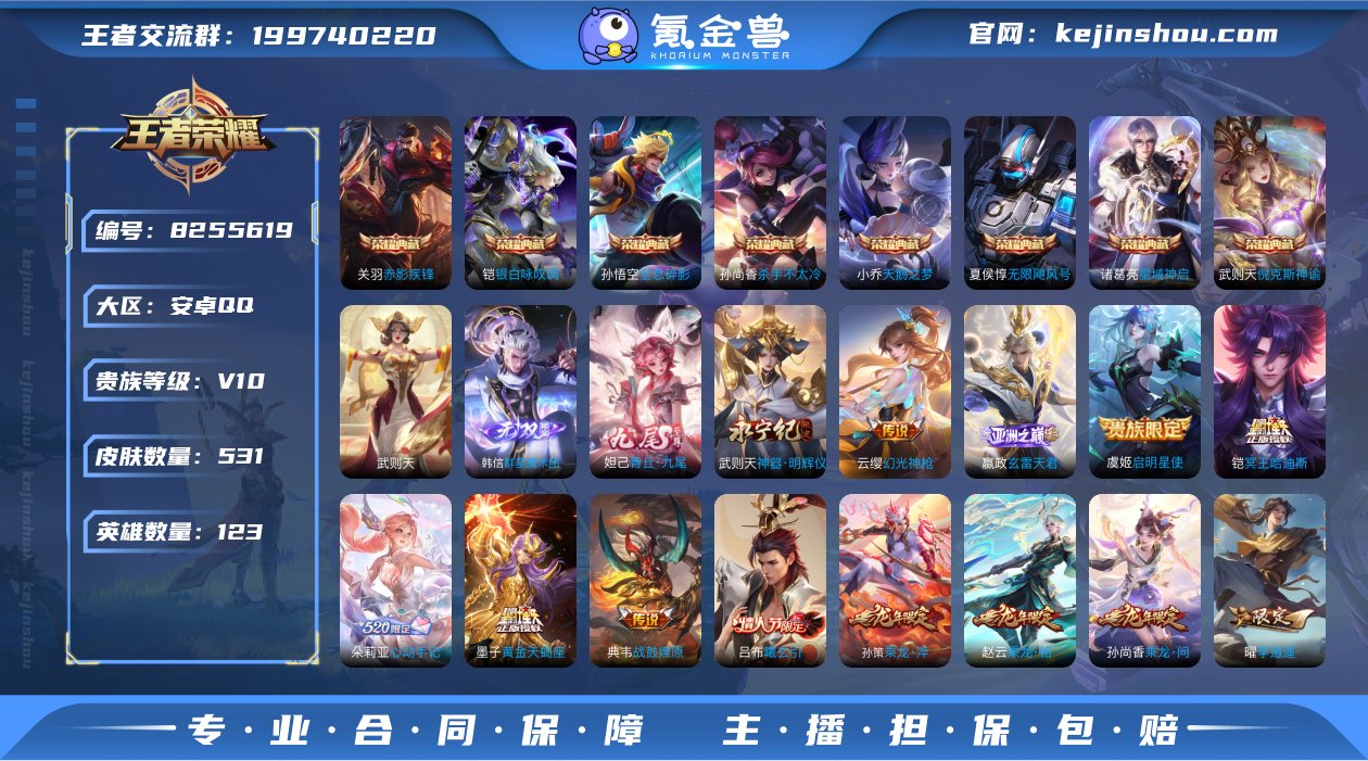 V10 531皮肤9典藏3无双81传说 全...