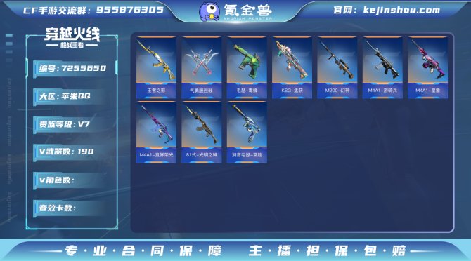 实名: 可修改 v武器数: 190 王者武...