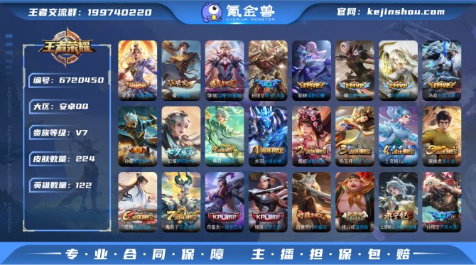 【金标阿珂】224皮肤1典藏11传说 九霄...