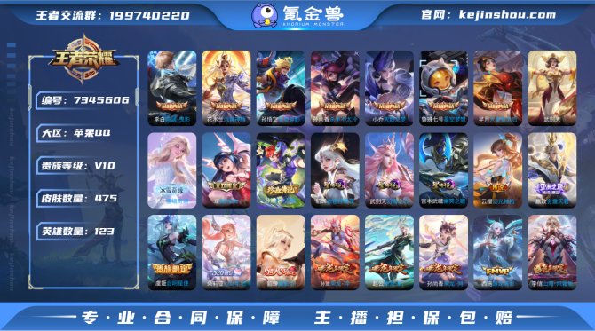 V10贵族 新皮全 475皮肤 8典藏 2...