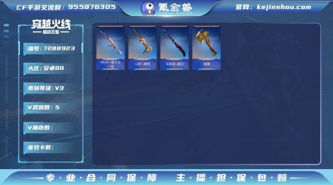 实名: 可修改 v武器数: 5 v武器: ...