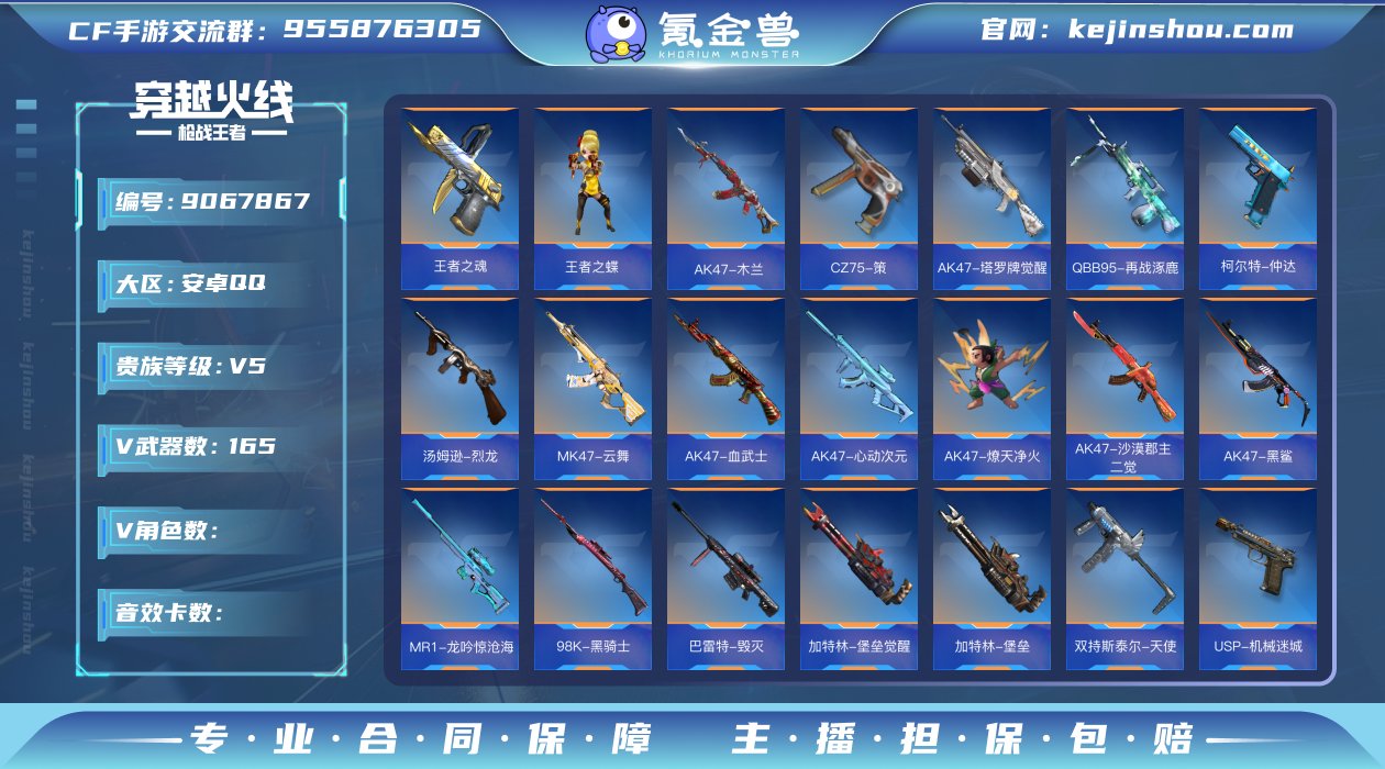 DSQZ613【V5/165V/125金V...