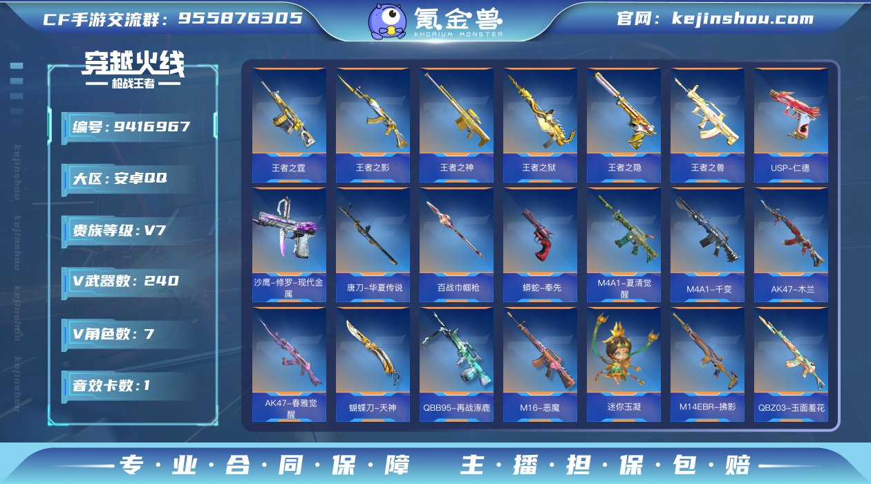 实名: 不可修改 v武器数: 240 王者...