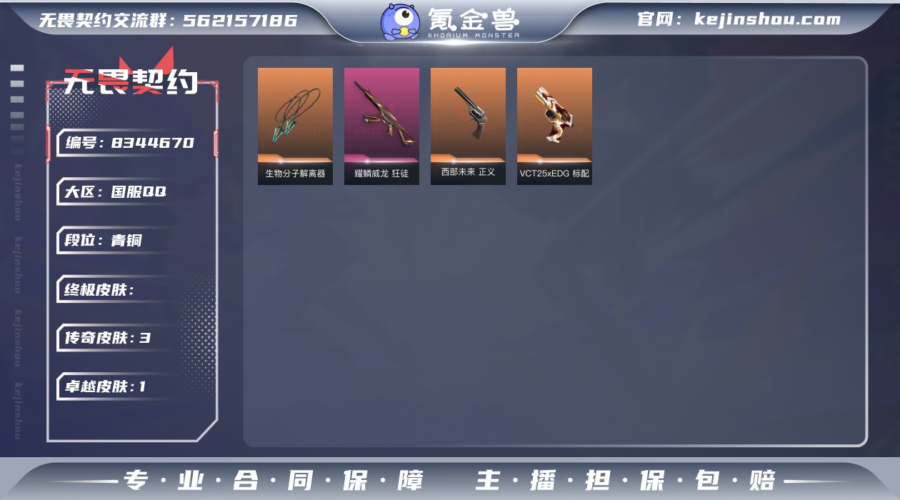 实名: 可修改 皮肤资产价值: 8250 ...