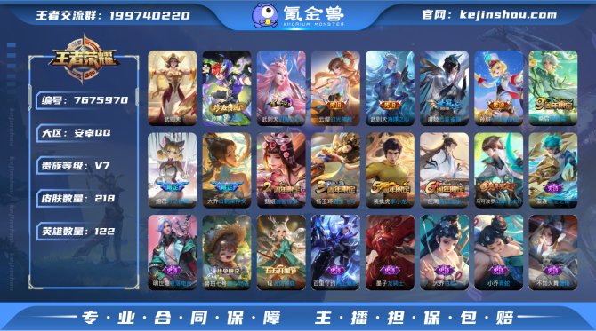 122英雄218皮肤1典藏1珍品1星元幻海...