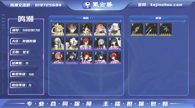 氪金兽