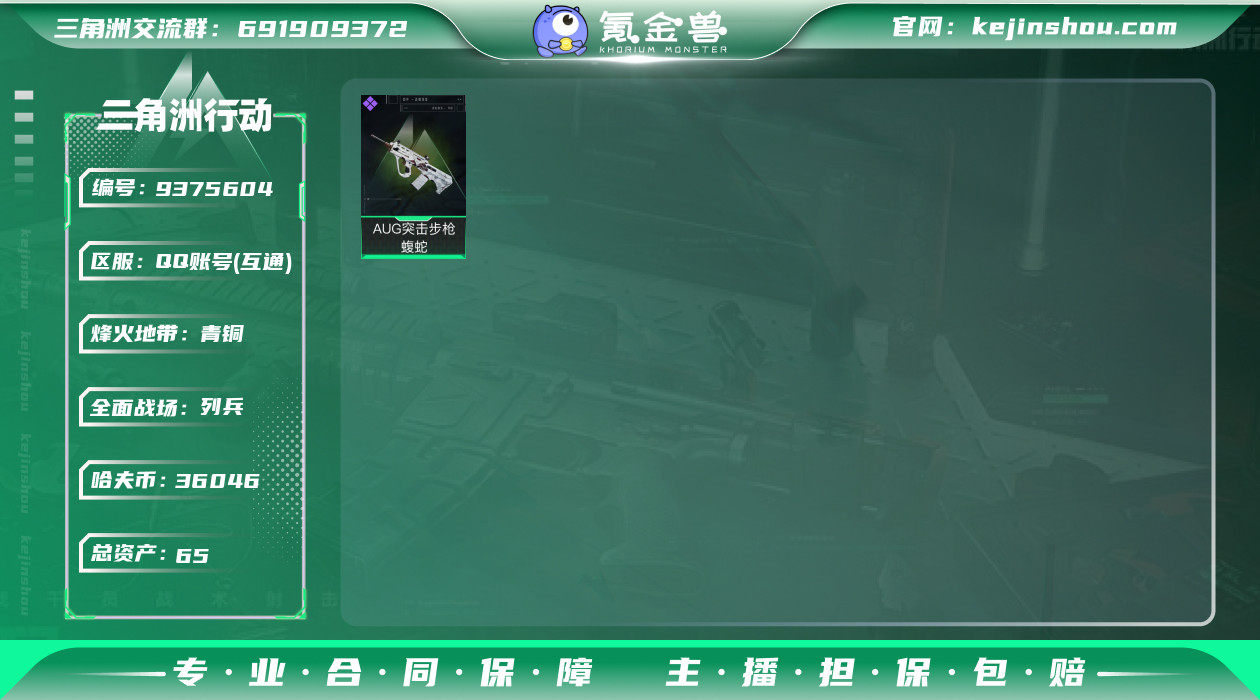 DSJZ752三端互通-总资产65M【黑天...