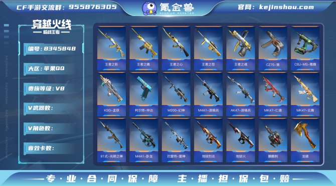 氪金兽
