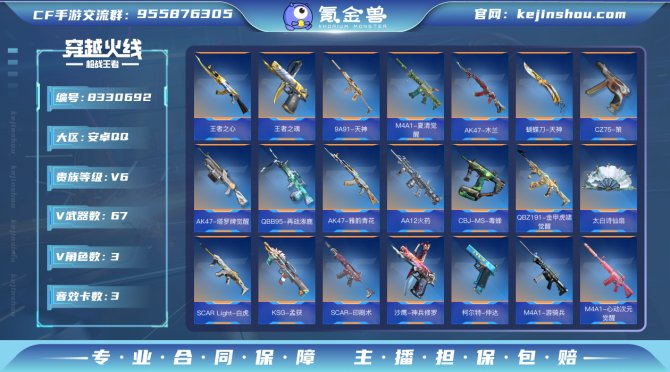 氪金兽