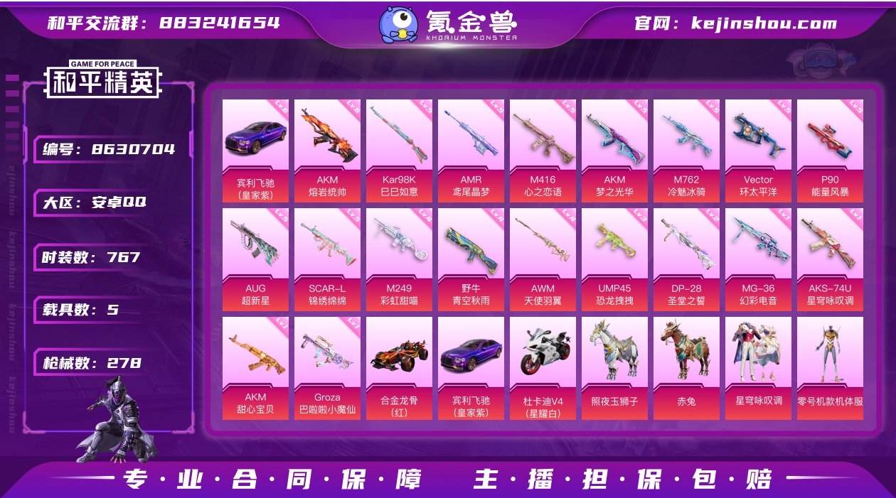 战神框 22粉装 19特效枪 5载具 13...