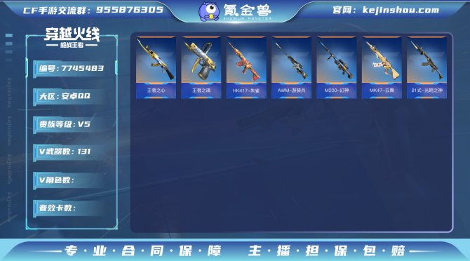 实名: 可修改 v武器数: 131 v武器...