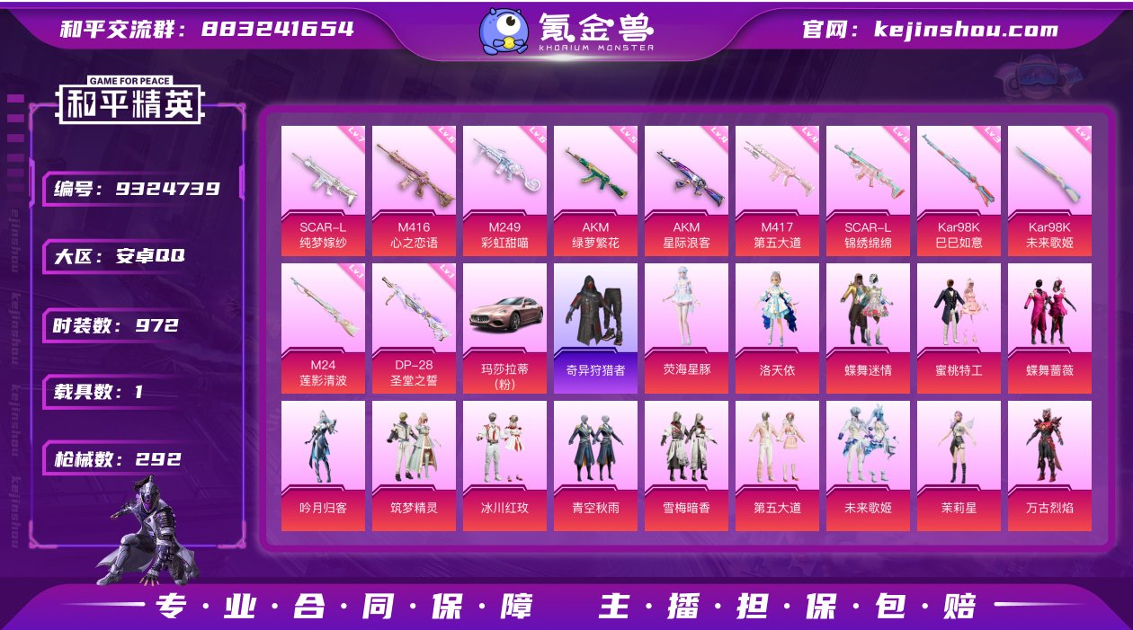 公主号！17粉装 11升级枪 1载具 分玛...