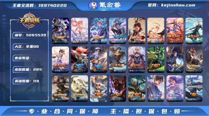 小玥 iOS【V9 285皮肤1典藏41传...