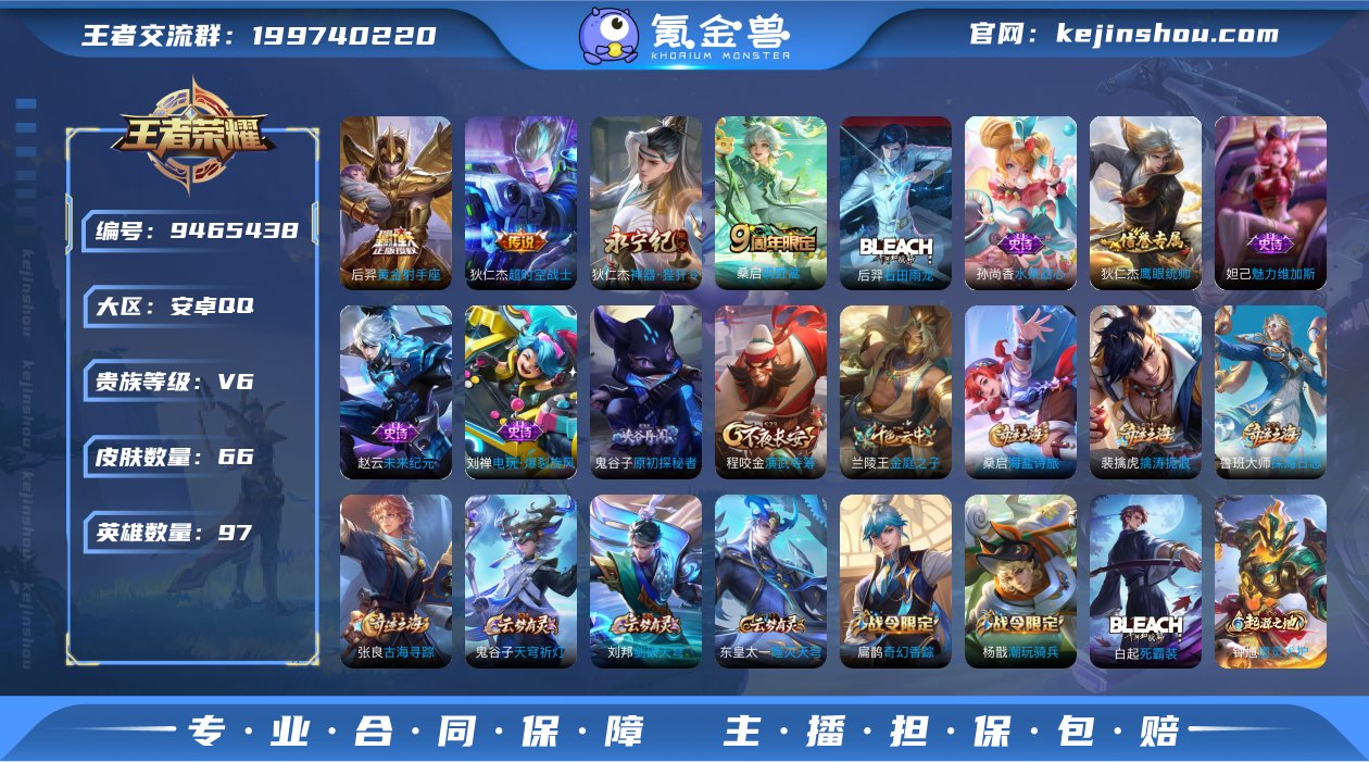 贵族V6 传说皮肤4 史诗皮肤9 皮肤数量...