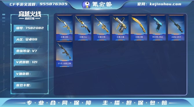 实名: 可修改 v武器数: 121 王者武...