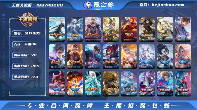 iOS 金标司马懿 265皮肤2典藏21传...