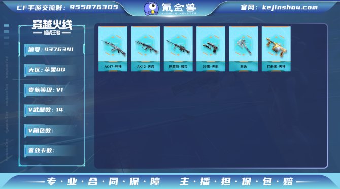 实名: 可修改 v武器: AK12-天启,...