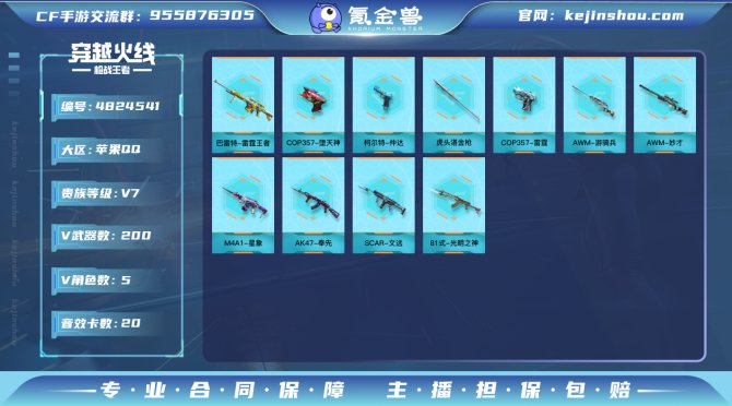 实名: 可修改 v武器数: 200 王者武...