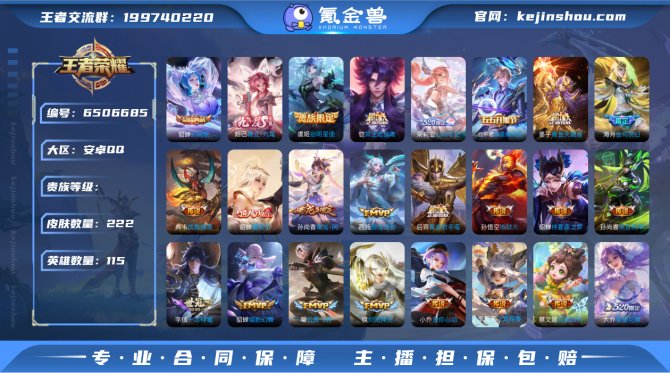 222皮肤 1典藏1无双 29传说 幻阙歌...