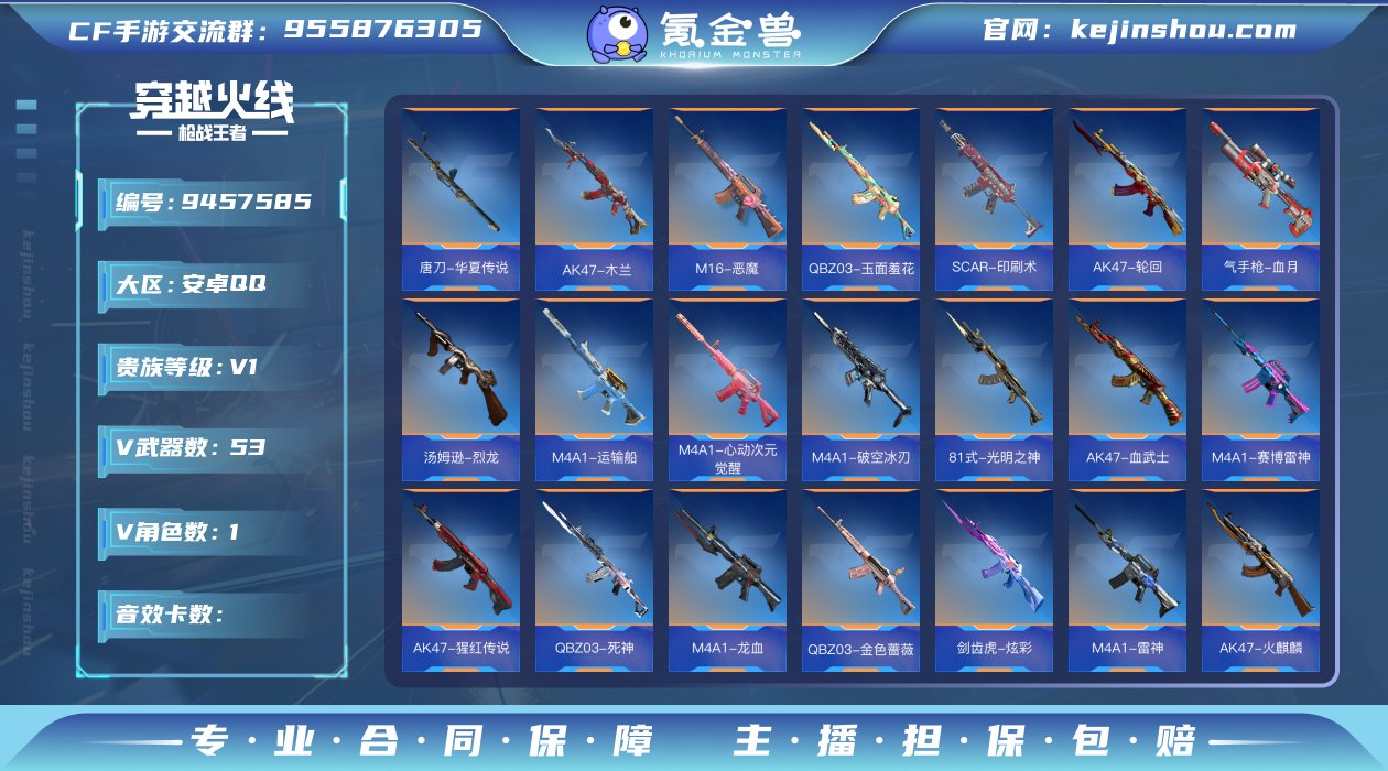实名: 可修改 v武器数: 53 V/王者...