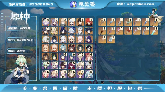 氪金兽
