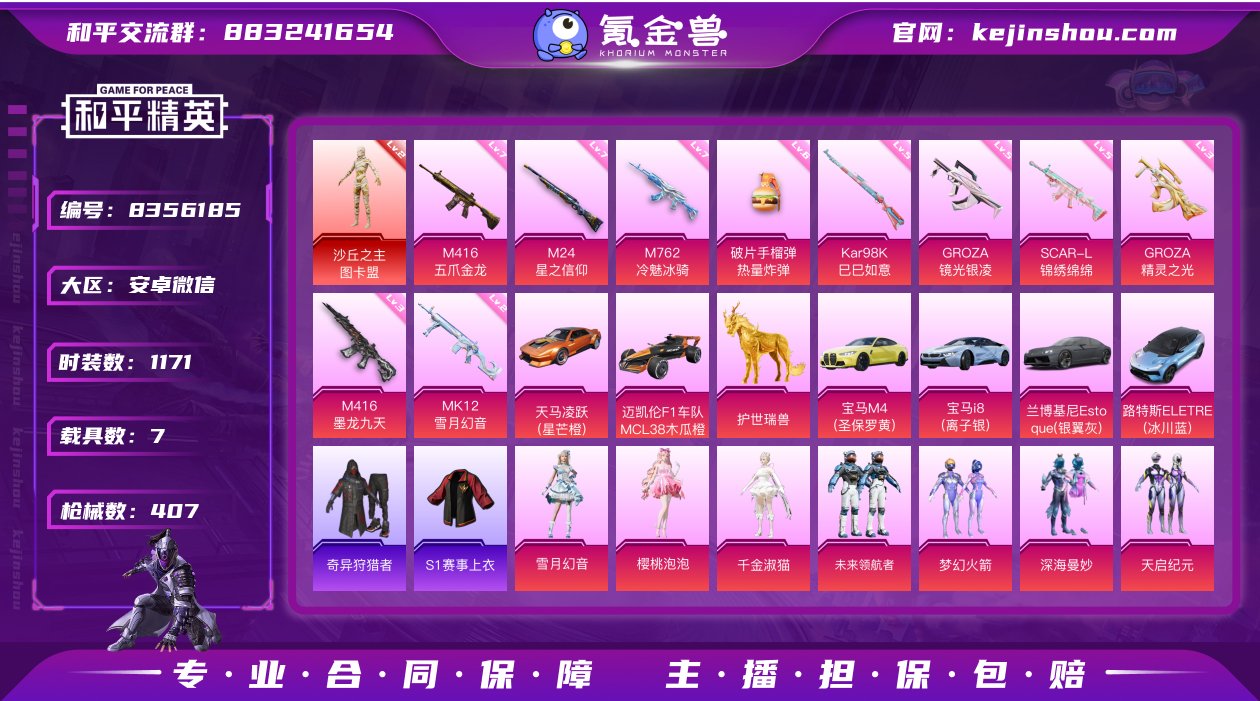 实名: 不可修改 时装数: 1171 载具...