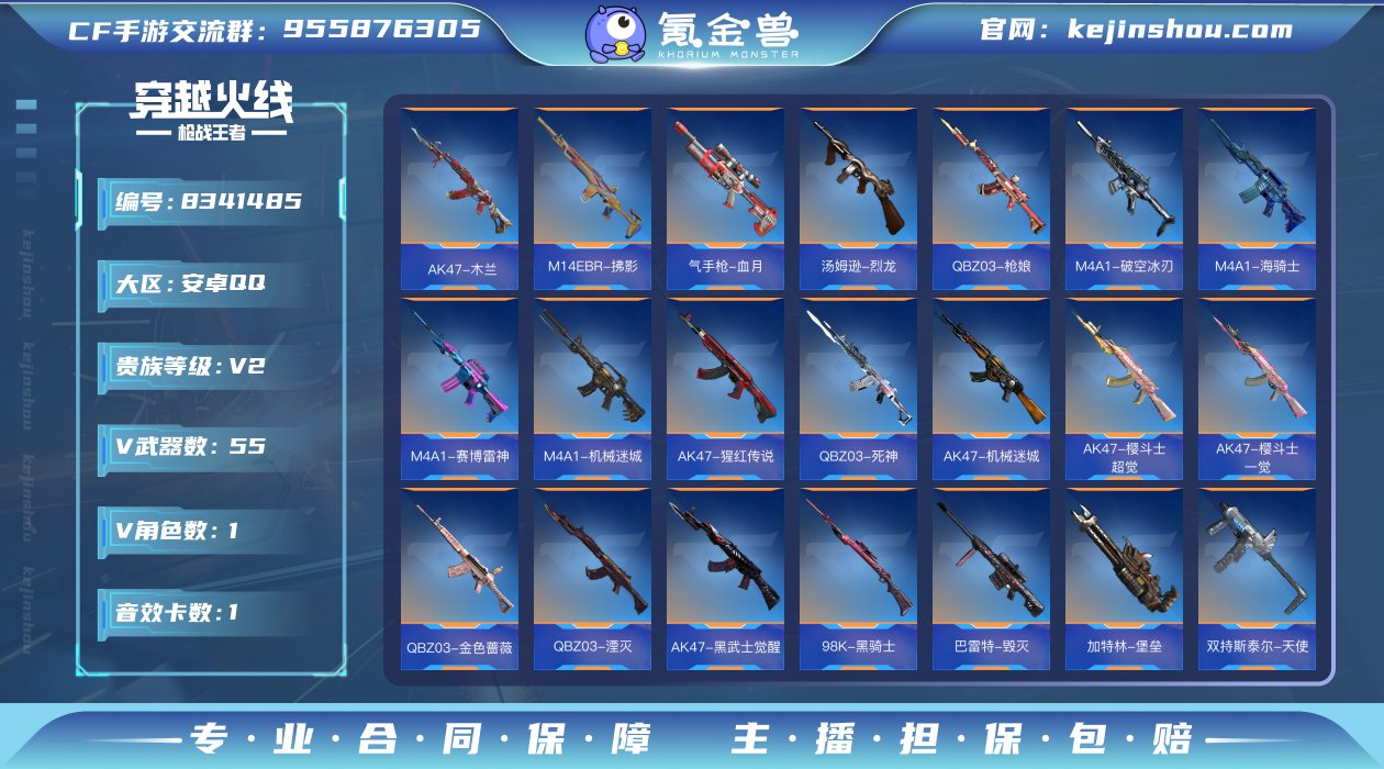 实名: 不可修改 v武器数: 55 V/王...