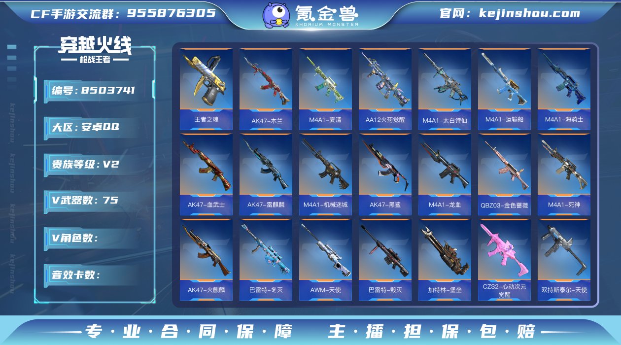TZ2284【V2/75V/王心/王魂/8...