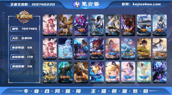 178皮3典藏1无双12传说1星元 V8 ...