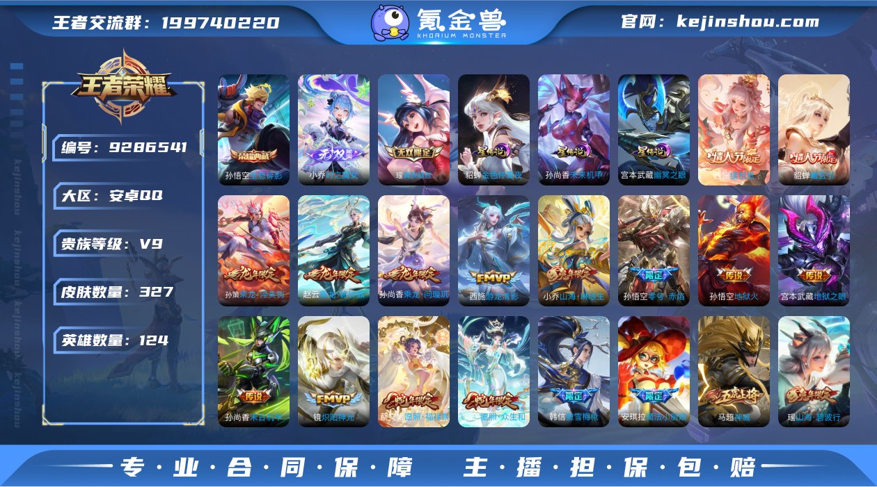 实名: 可修改 贵族等级: V9 英雄数:...