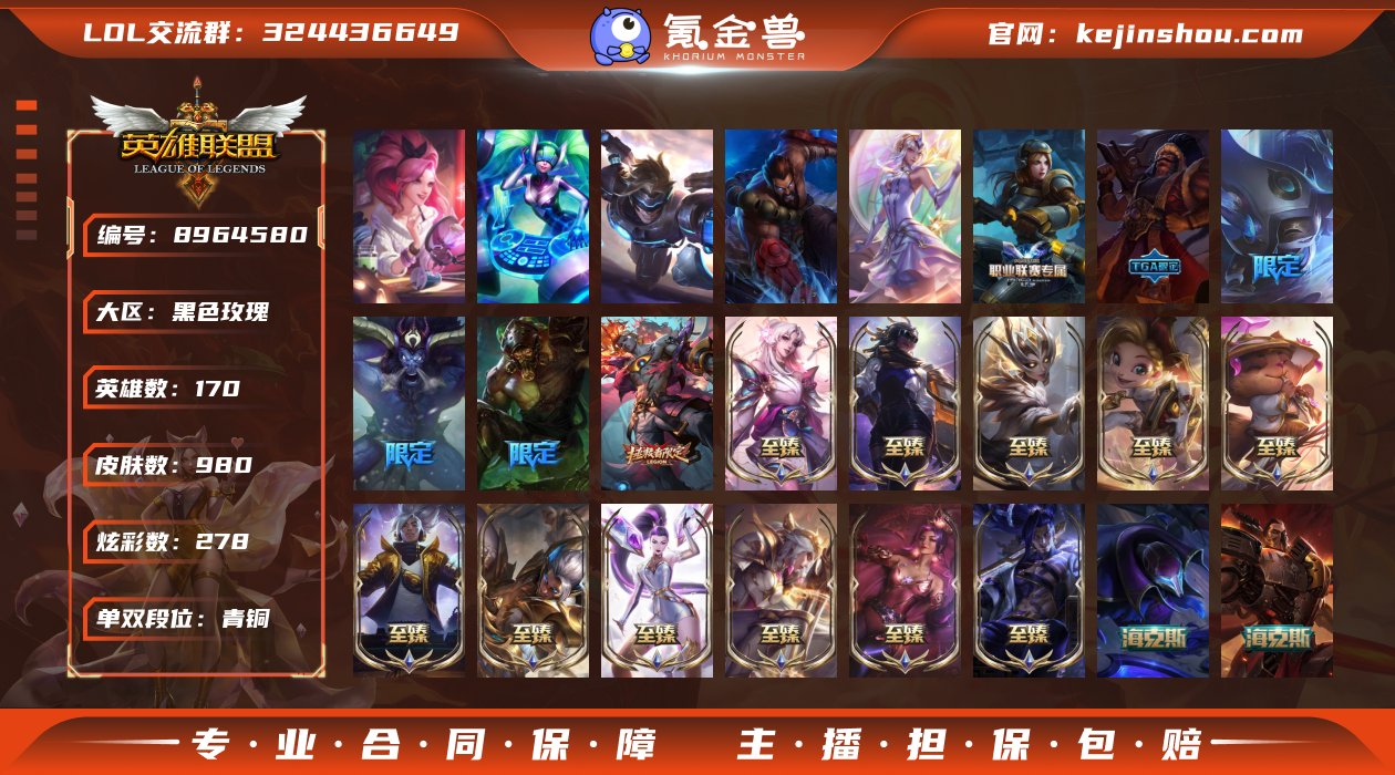 【LOLZ796】170英雄/980皮肤/...