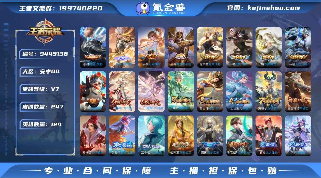 贵族V7 荣耀典藏1 无双1 传说皮肤11...