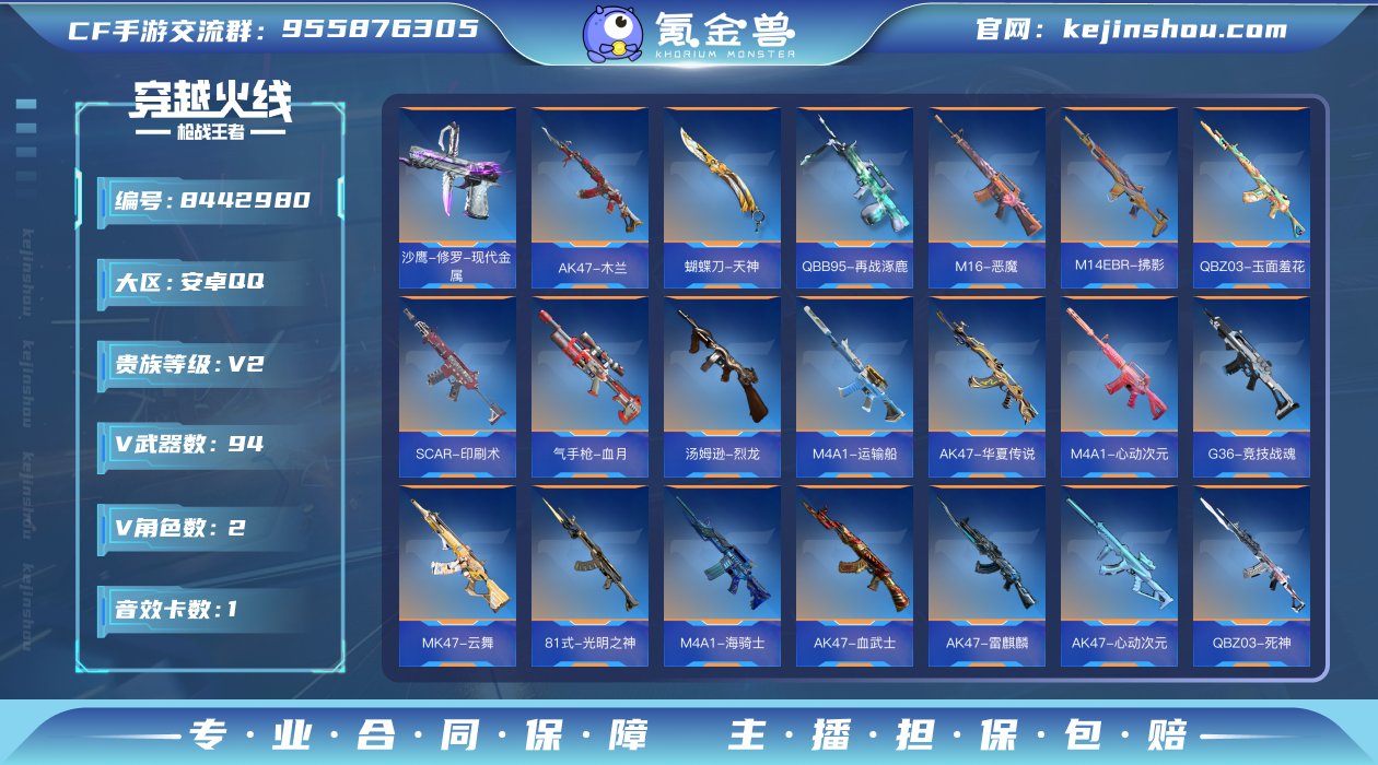 实名: 不可修改 v武器数: 94 V/王...