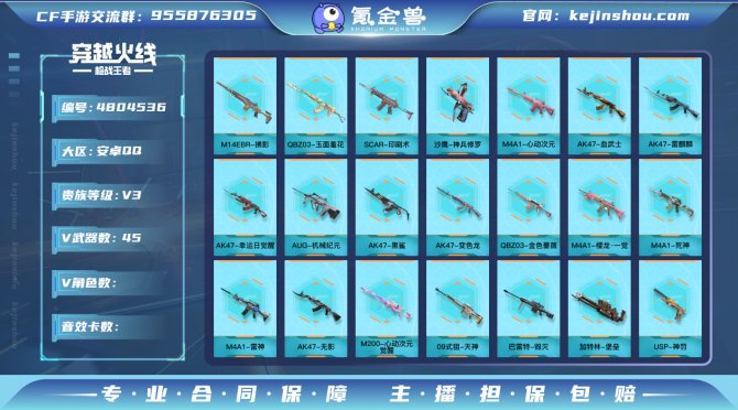 实名: 可修改 v武器数: 45 v武器:...