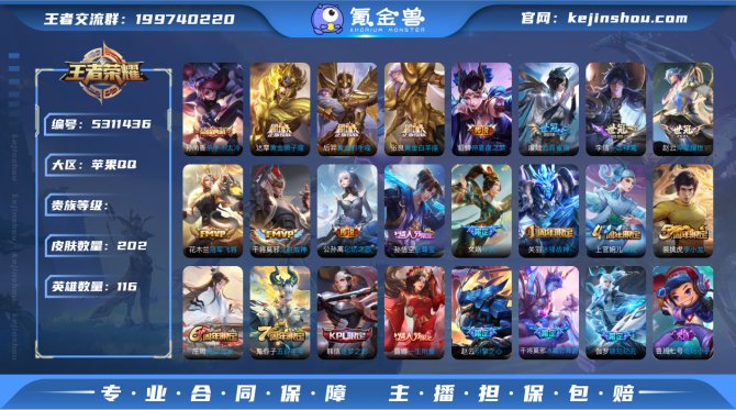 阿瞒 202皮肤1典藏12传说iOS『至尊...