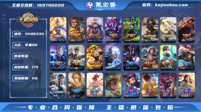 小玥 175皮肤1典藏14传说iOS【小国...