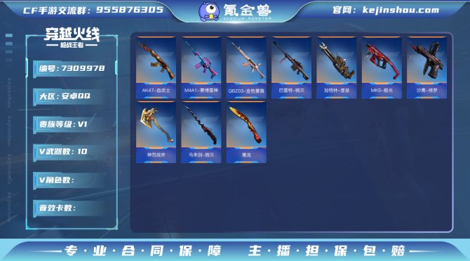 实名: 可修改 v武器数: 10 v武器:...