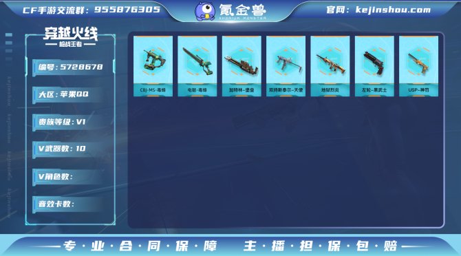 实名: 不可修改 v武器数: 10 v武器...