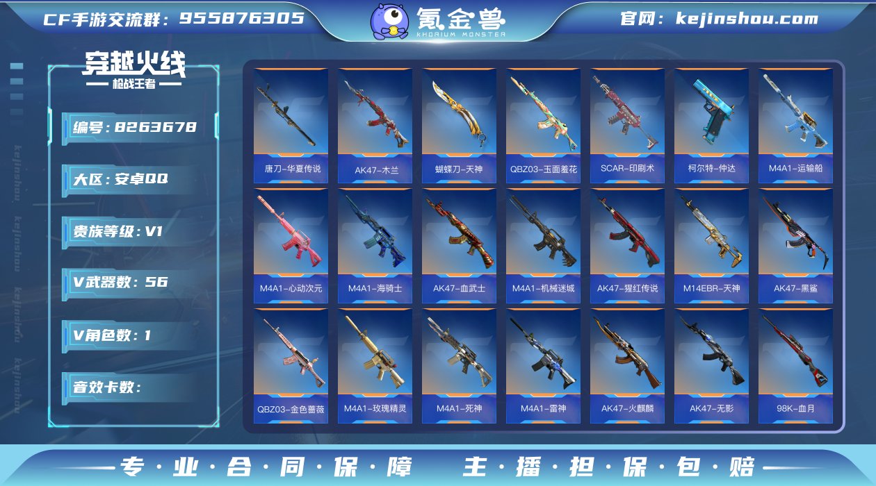 实名: 可修改 v武器数: 56 V/王者...