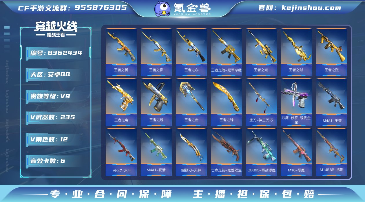 实名: 可修改 v武器数: 235 王者武...