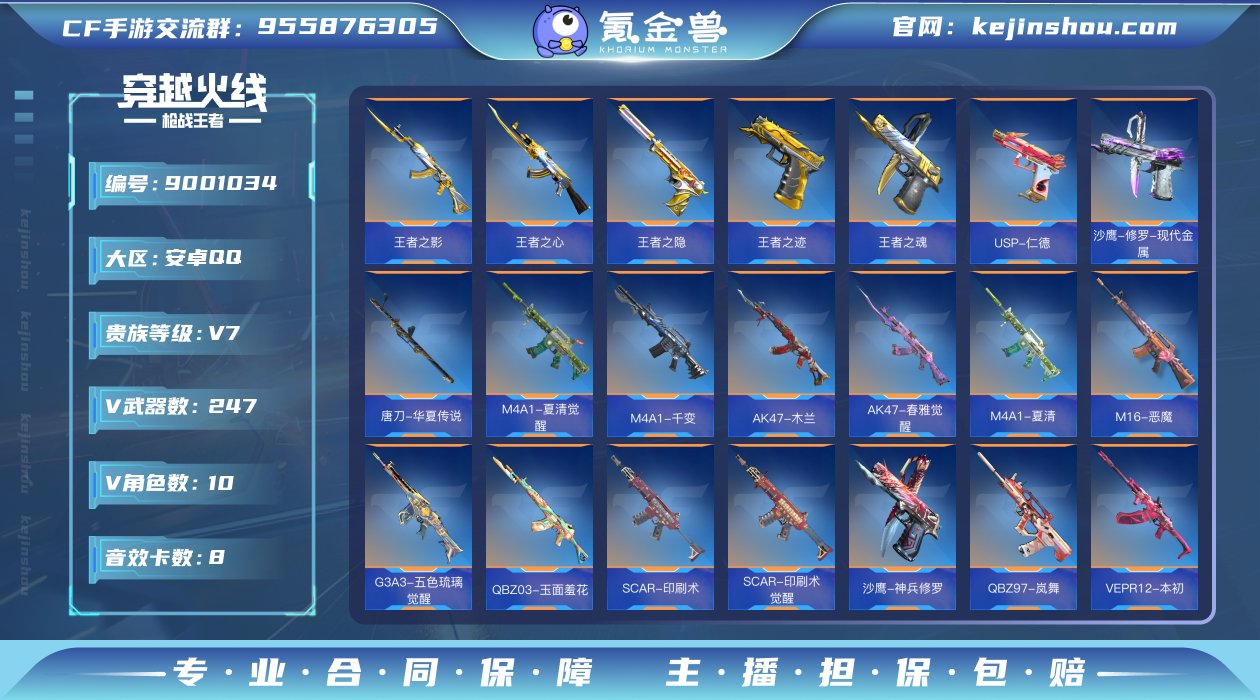 实名: 可修改 v武器数: 247 王者武...